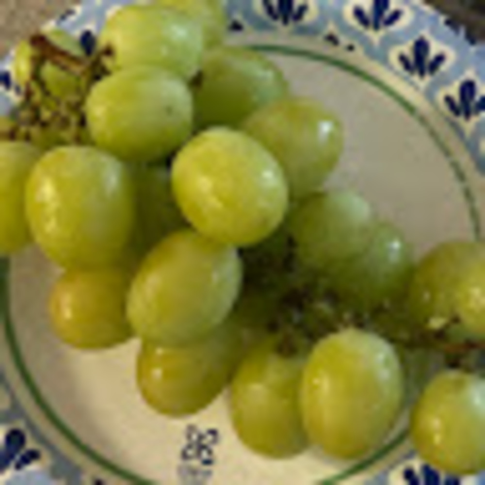 Meet your Posher, Alexis